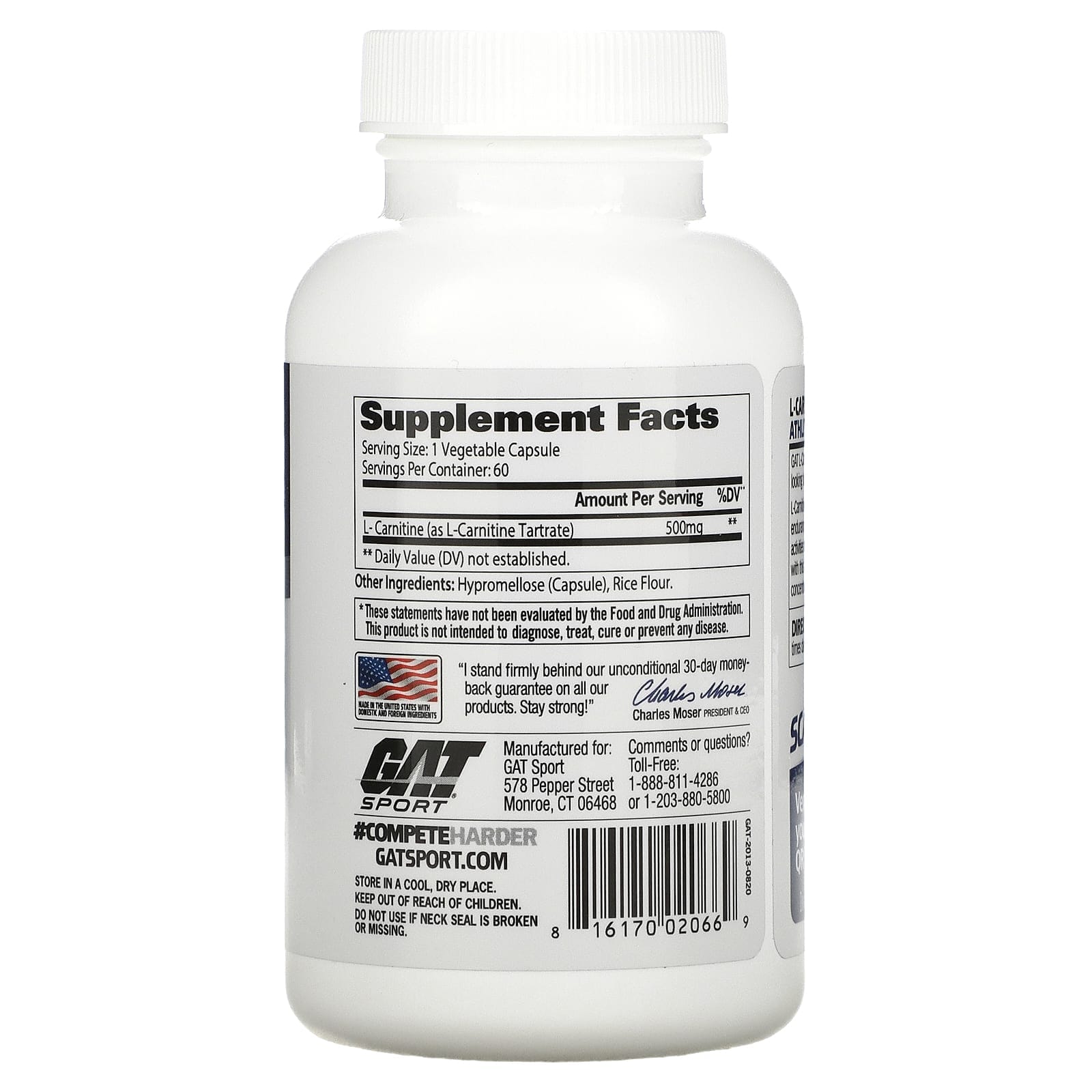 gat sports l carnitine muscleandstrength SPORT L-Carnitine Free Form Amini Acid Essentials, Helps Convert Food To Energy, Fuels Fat LOSS & Supports To Endurance Pack of 60 Veg Capsules GAT Sport Caffeine by GAT