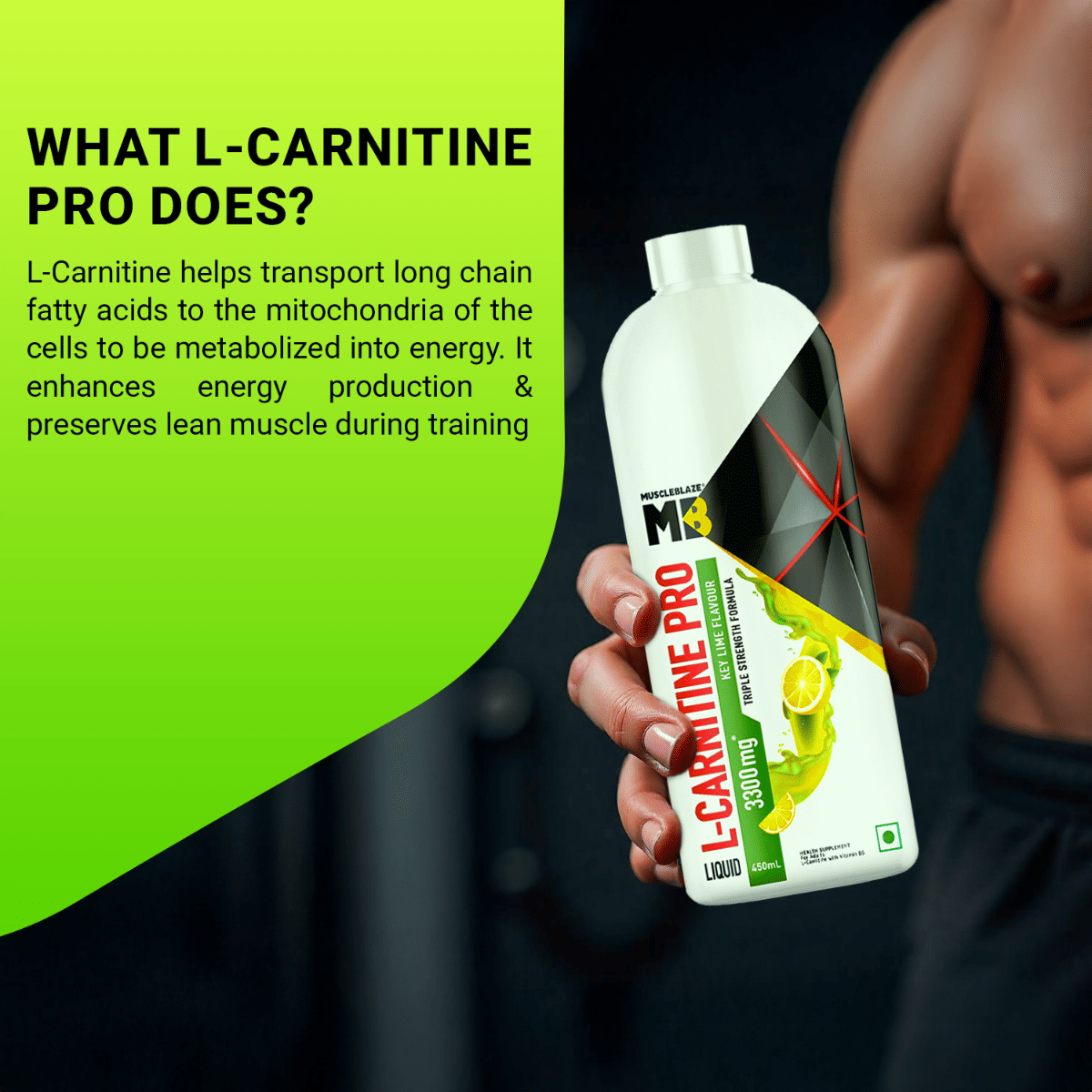 what is l-carnitine used for in bodybuilding When To Take L Carnitine to Maximise Your Shredding and Beyond  BSc Supplements MuscleBlaze Liquid L-Carnitine PRO |