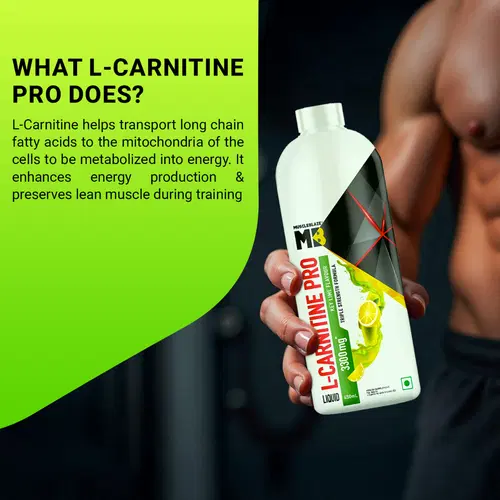 what is l-carnitine used for in bodybuilding When To Take L Carnitine to Maximise Your Shredding and Beyond BSc Supplements MuscleBlaze Liquid L-Carnitine PRO |