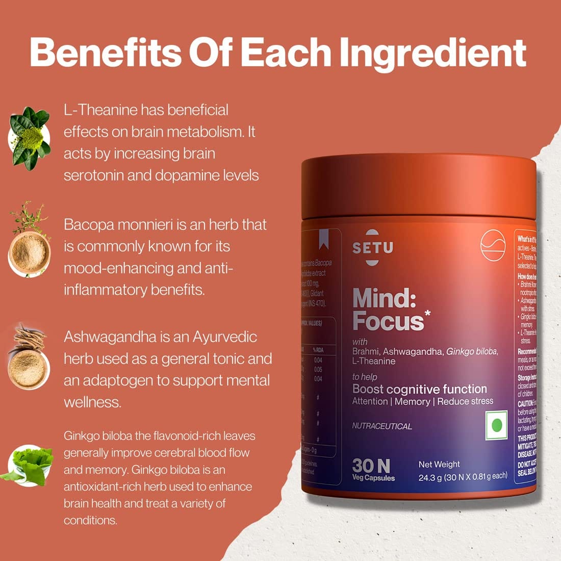 Setu: Focus Capsules | Brahmi, Ginkgo Biloba, Ashwagandha And L ...