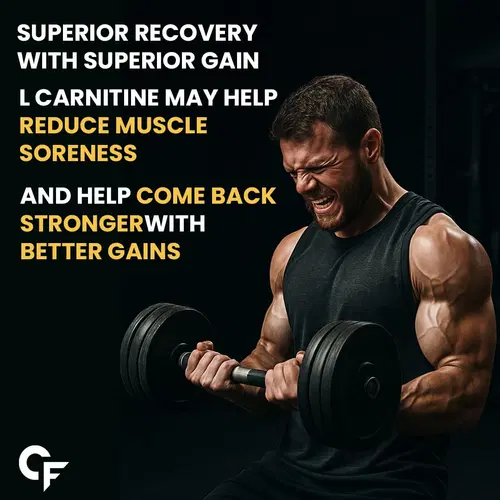 l carnitine muscle soreness Carbamide Forte L Carnitine Liquid 450ml | 30 Serving | Vitamins | Mango Flavour | Muscle Recovery