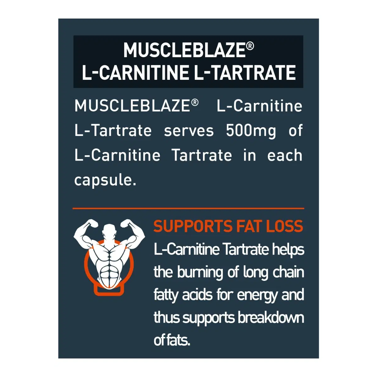 muscleblaze l-carnitine l-tartrate | 500mg L-Carnitine Buy MuscleBlaze 120 Pcs L-Carnitine