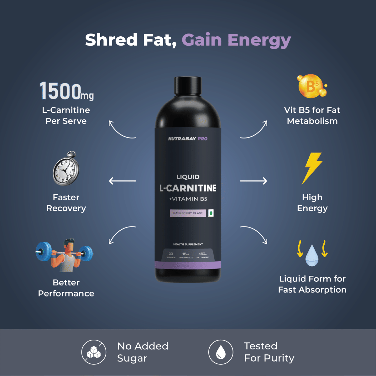 l carnitina 400 mg Amazon.com: ANDREW LESSMAN Acetyl L-Carnitine 400 mg - 60 Capsules